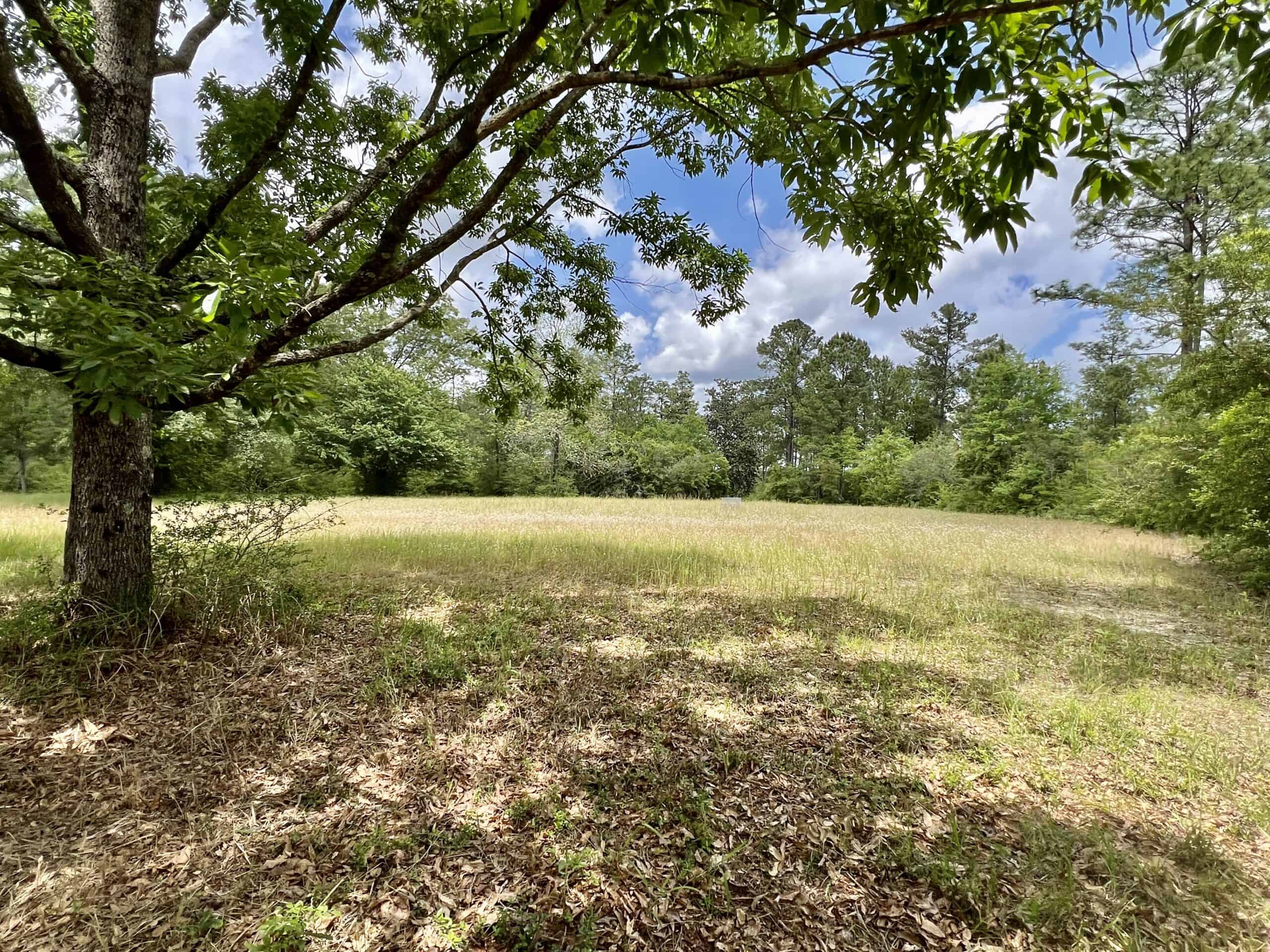300ac North Florida Farm – Hunting Land & Home for Sale