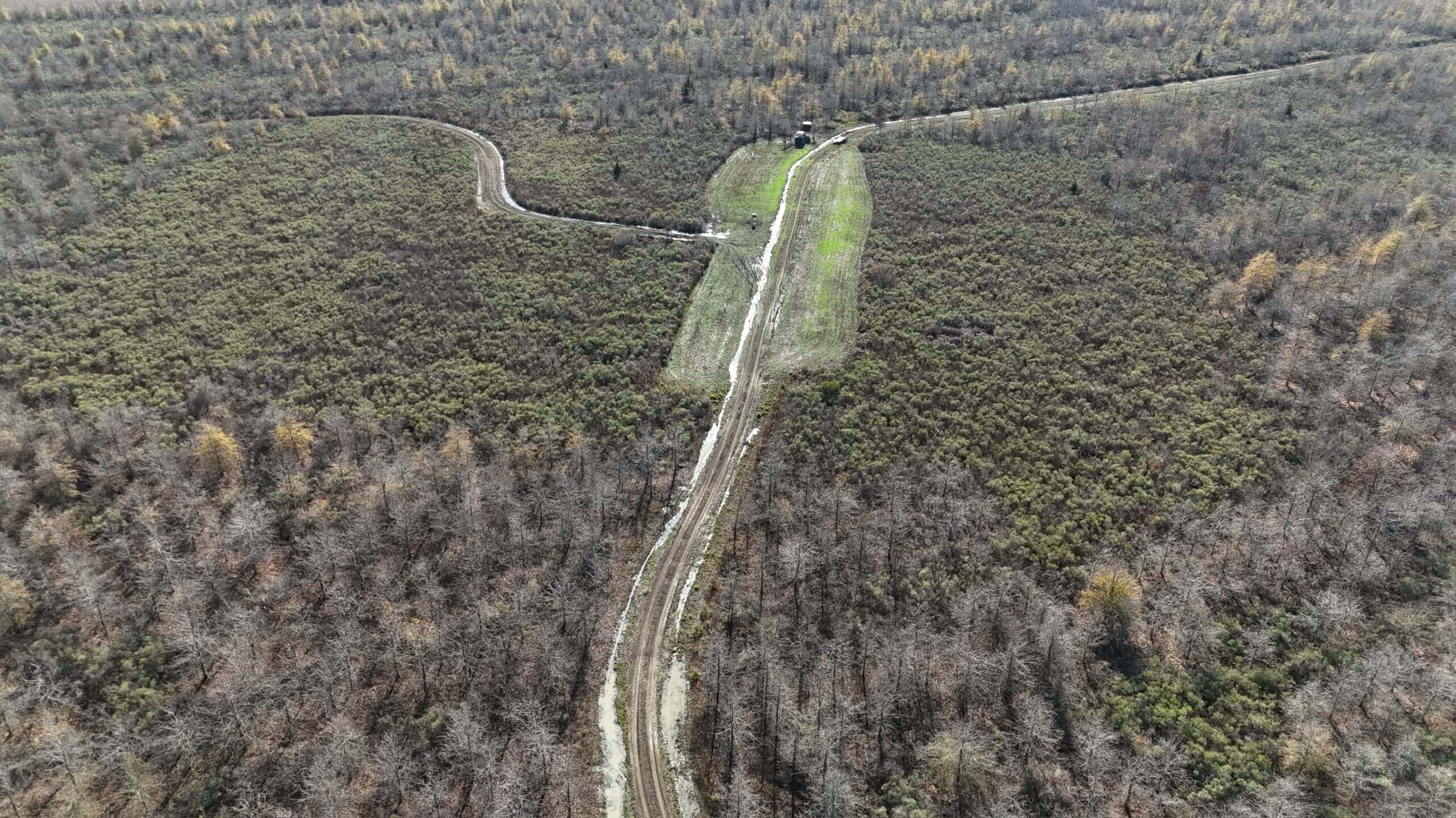 Delta Duck and Deer Hunting Property for Sale