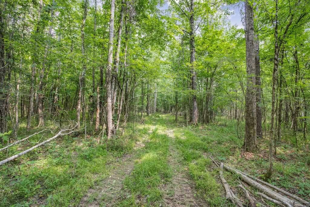 Turn Key Small Hunting Tract in Hinds County