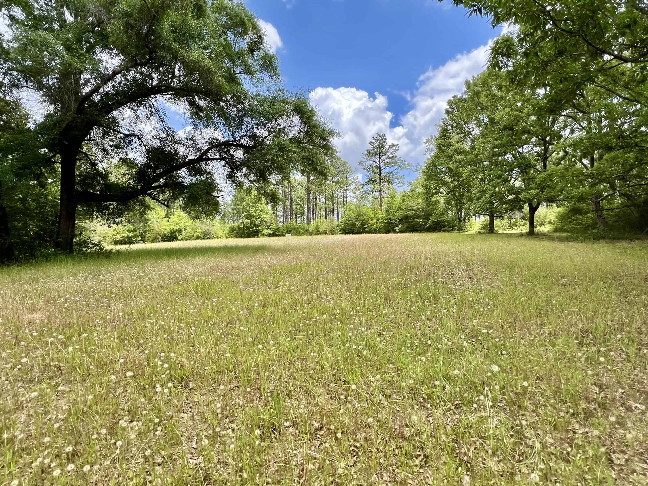 300ac North Florida Farm – Hunting Land & Home for Sale