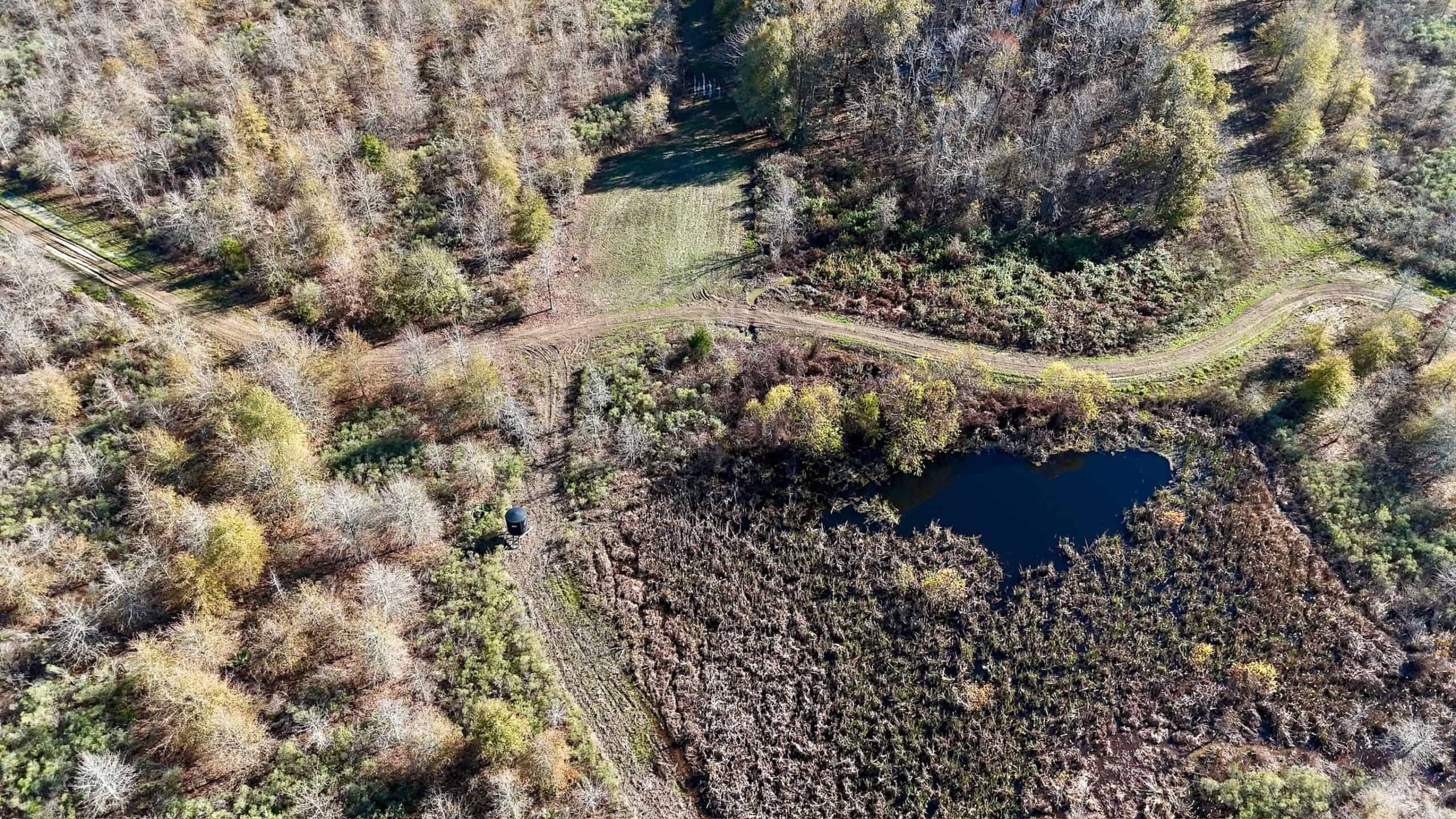 Delta Duck and Deer Hunting Property for Sale