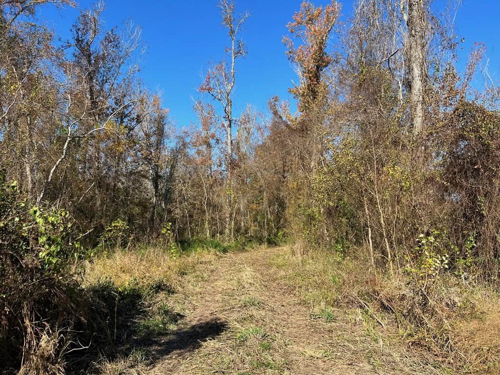 Hunting Land and Camp for Sale on the Pearl River
