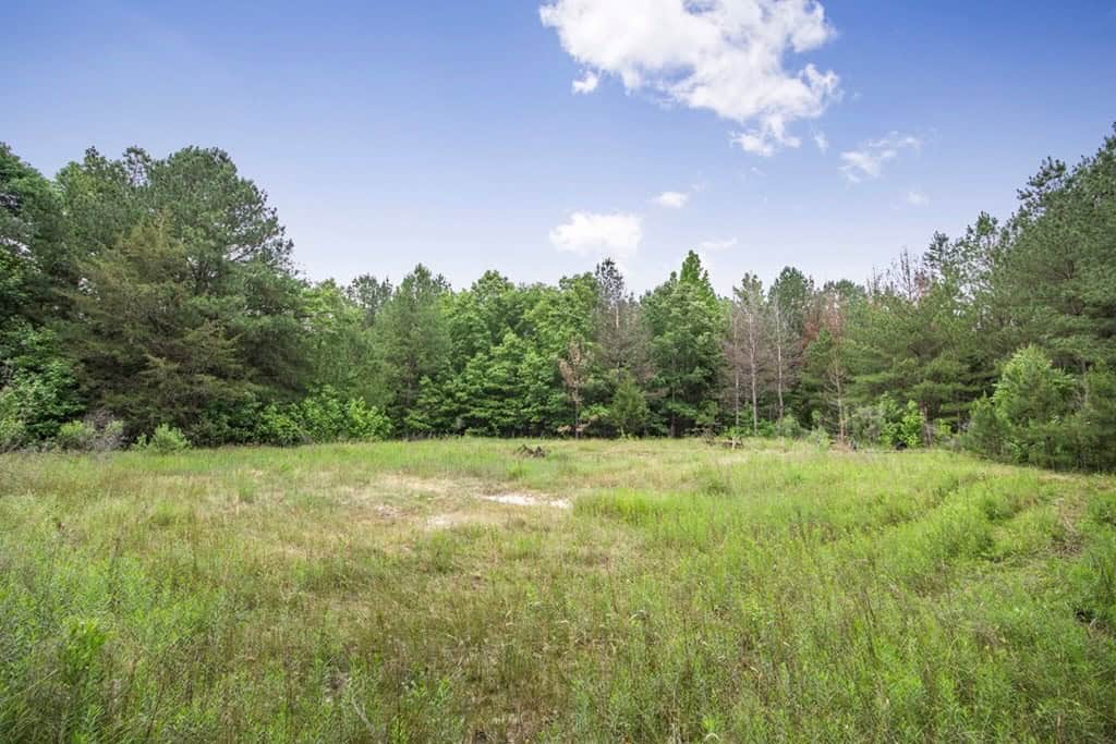 Turn Key Small Hunting Tract in Hinds County