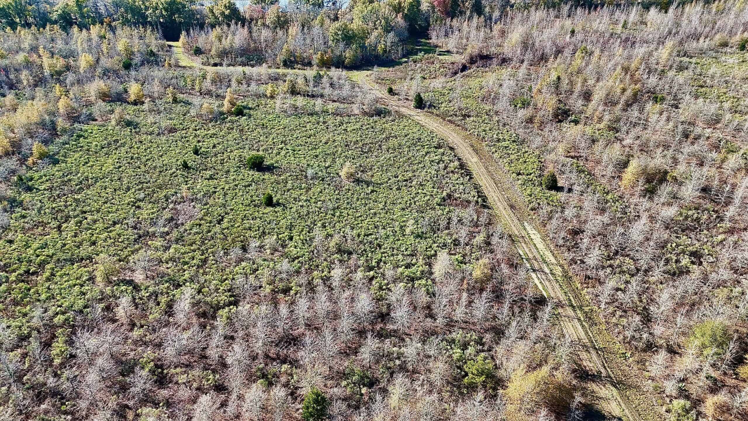Delta Duck and Deer Hunting Property for Sale