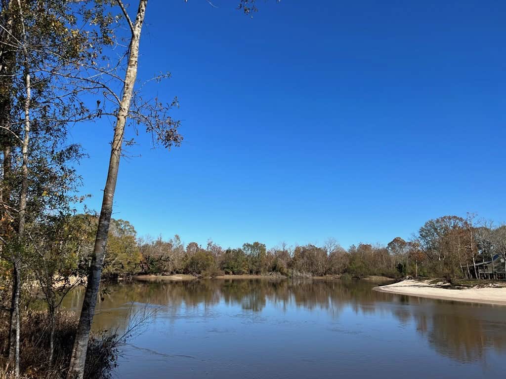 Hunting Land and Camp for Sale on the Pearl River