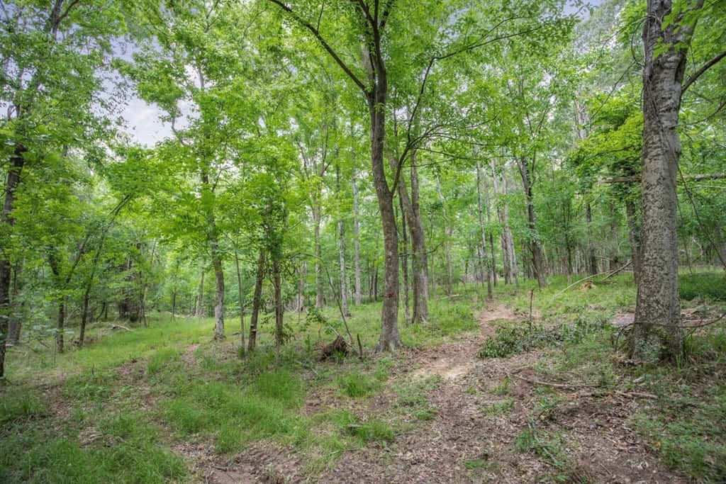 Turn Key Small Hunting Tract in Hinds County
