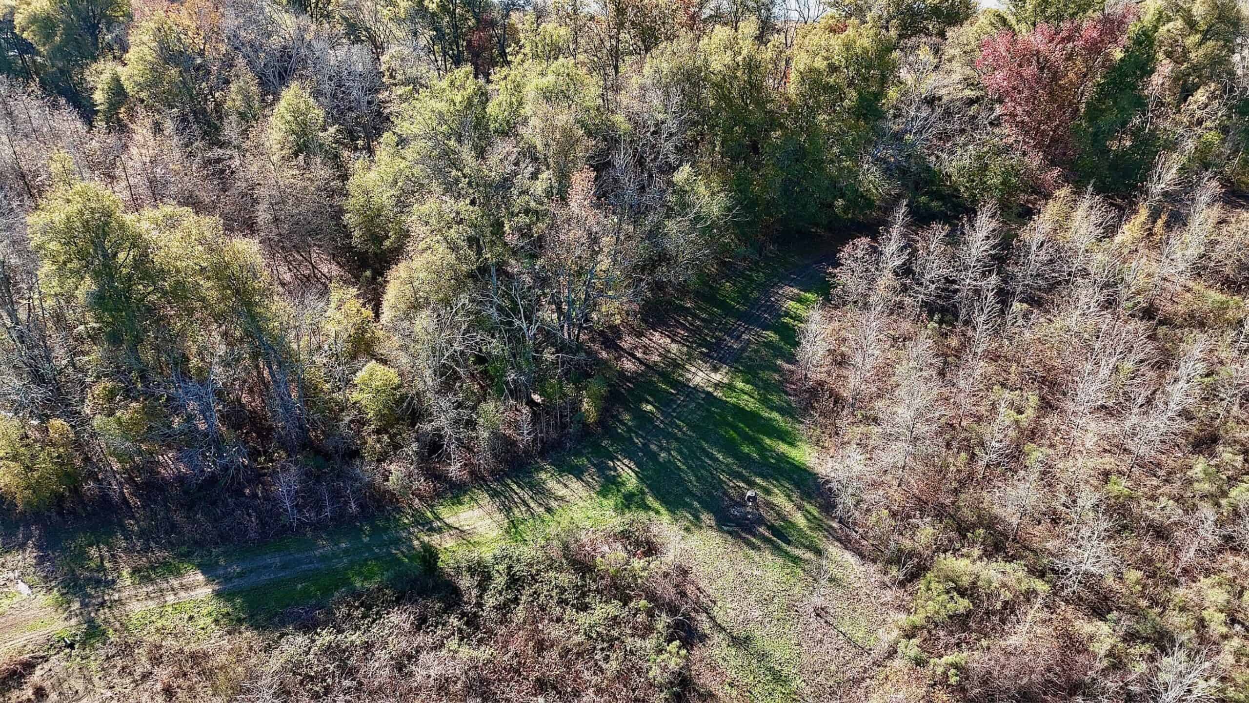 Delta Duck and Deer Hunting Property for Sale