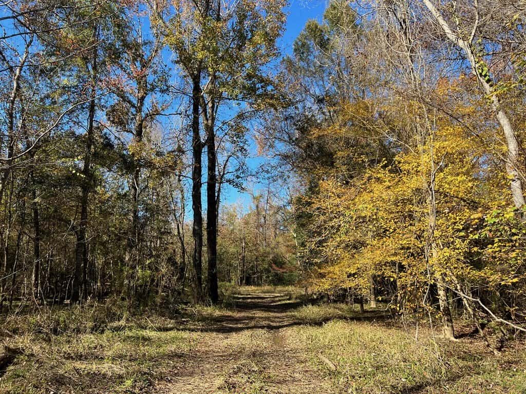 Hunting Land and Camp for Sale on the Pearl River