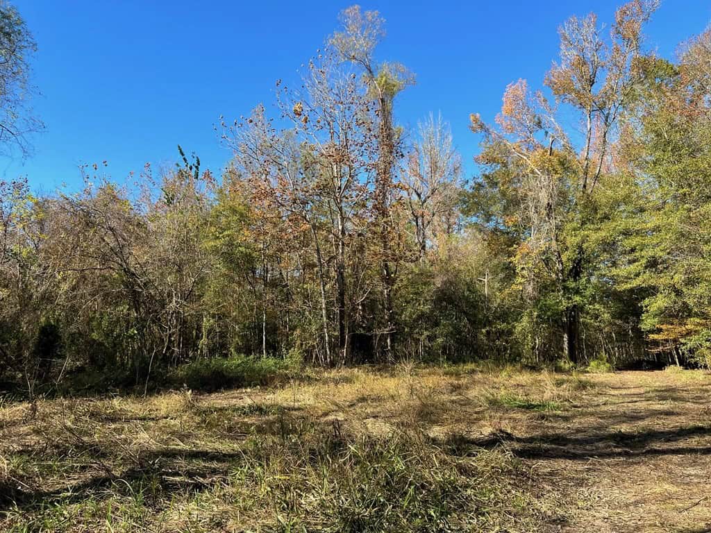 Hunting Land and Camp for Sale on the Pearl River