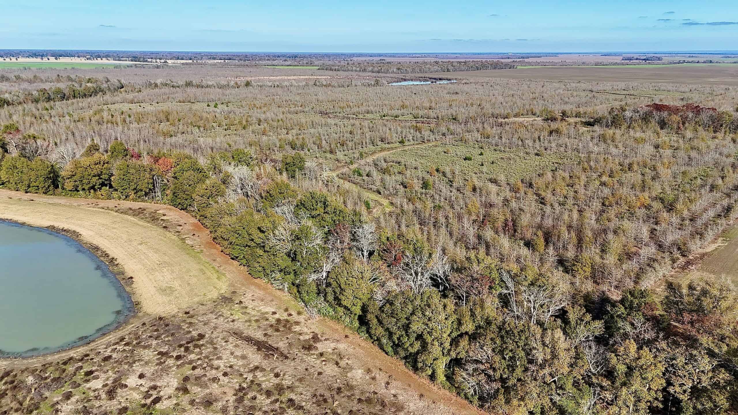 Delta Duck and Deer Hunting Property for Sale