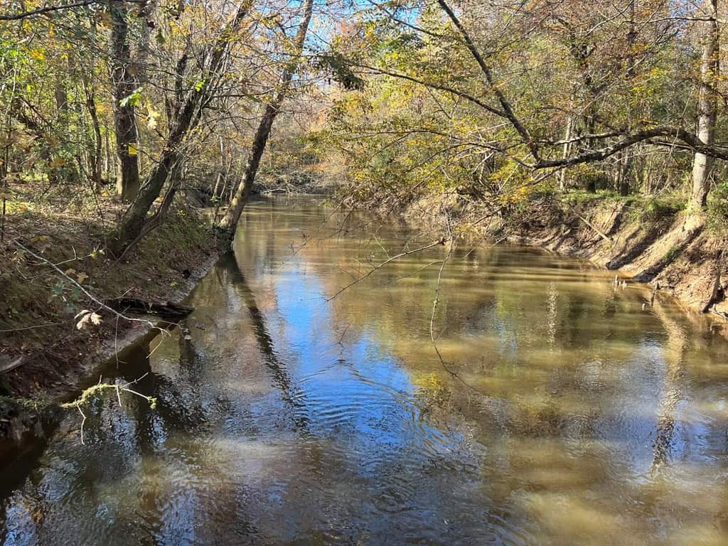 Hunting Land and Camp for Sale on the Pearl River