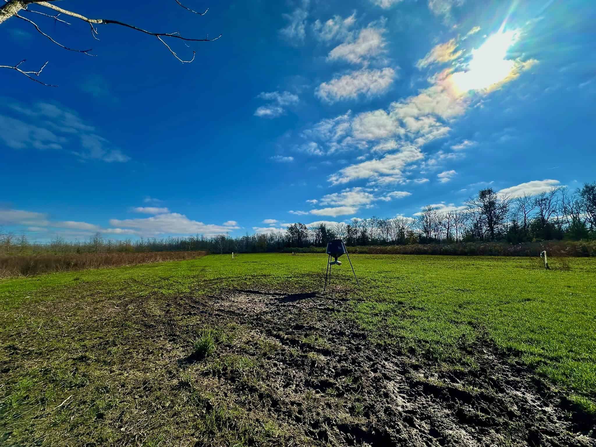 Delta Duck and Deer Hunting Property for Sale