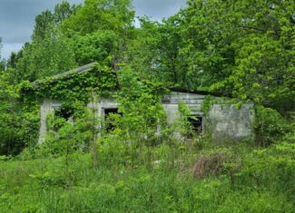 1,004 acres for sale in Casey County Kentucky