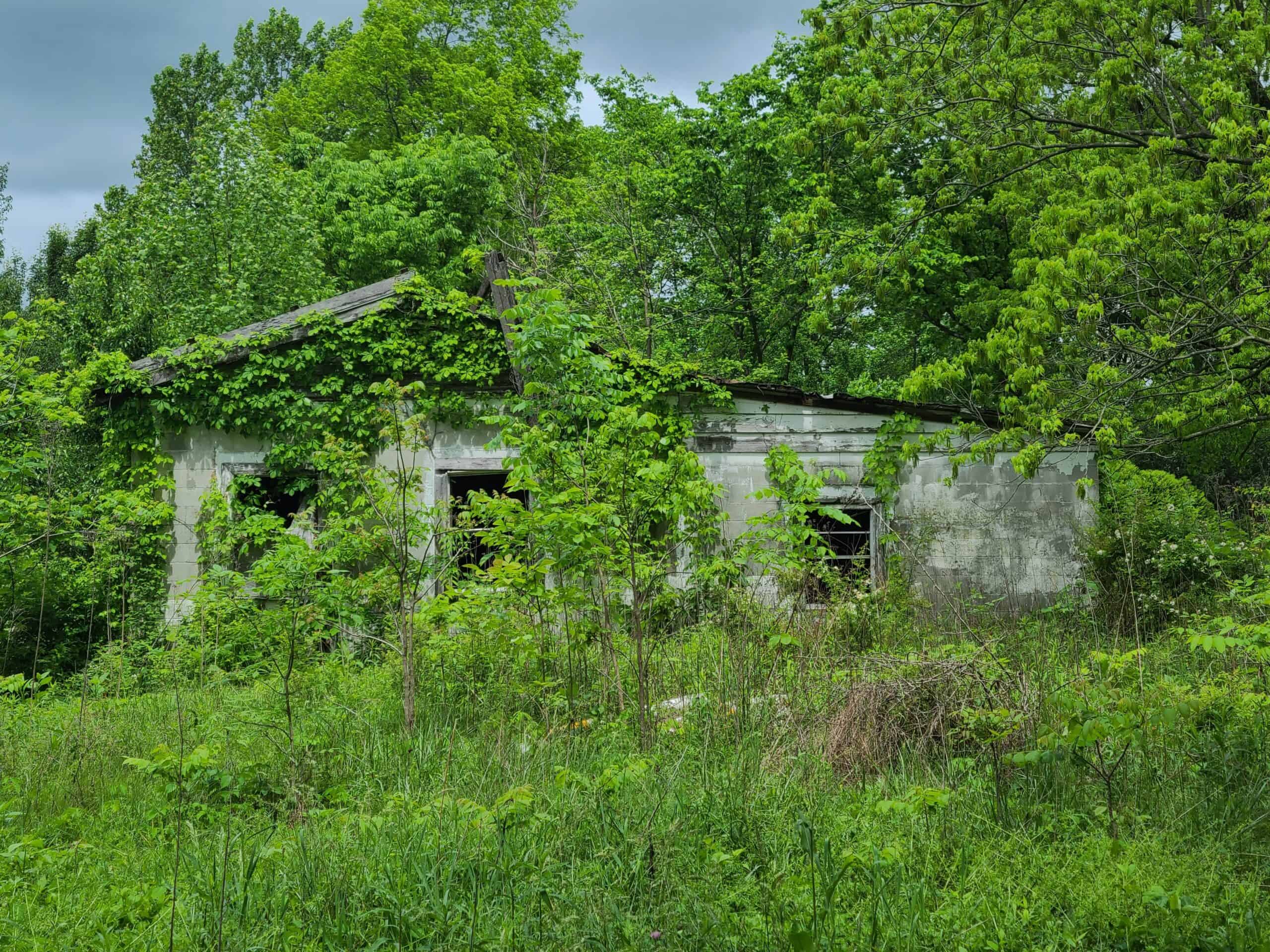 1,004 acres for sale in Casey County Kentucky