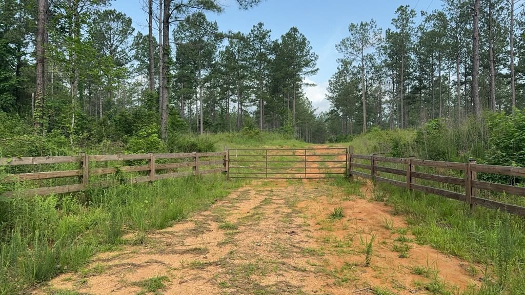 42 Acres Hunting Timberland for Sale Amite County, MS