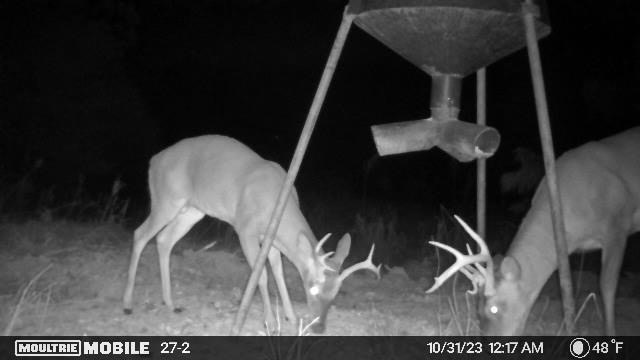 Turn Key Small Hunting Tract in Hinds County
