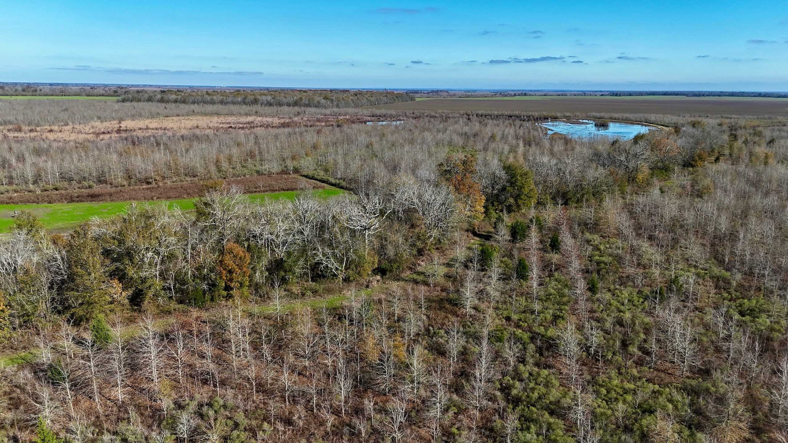 Delta Duck and Deer Hunting Property for Sale