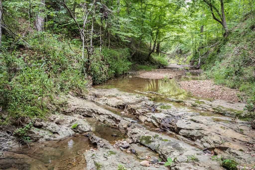 Turn Key Small Hunting Tract in Hinds County