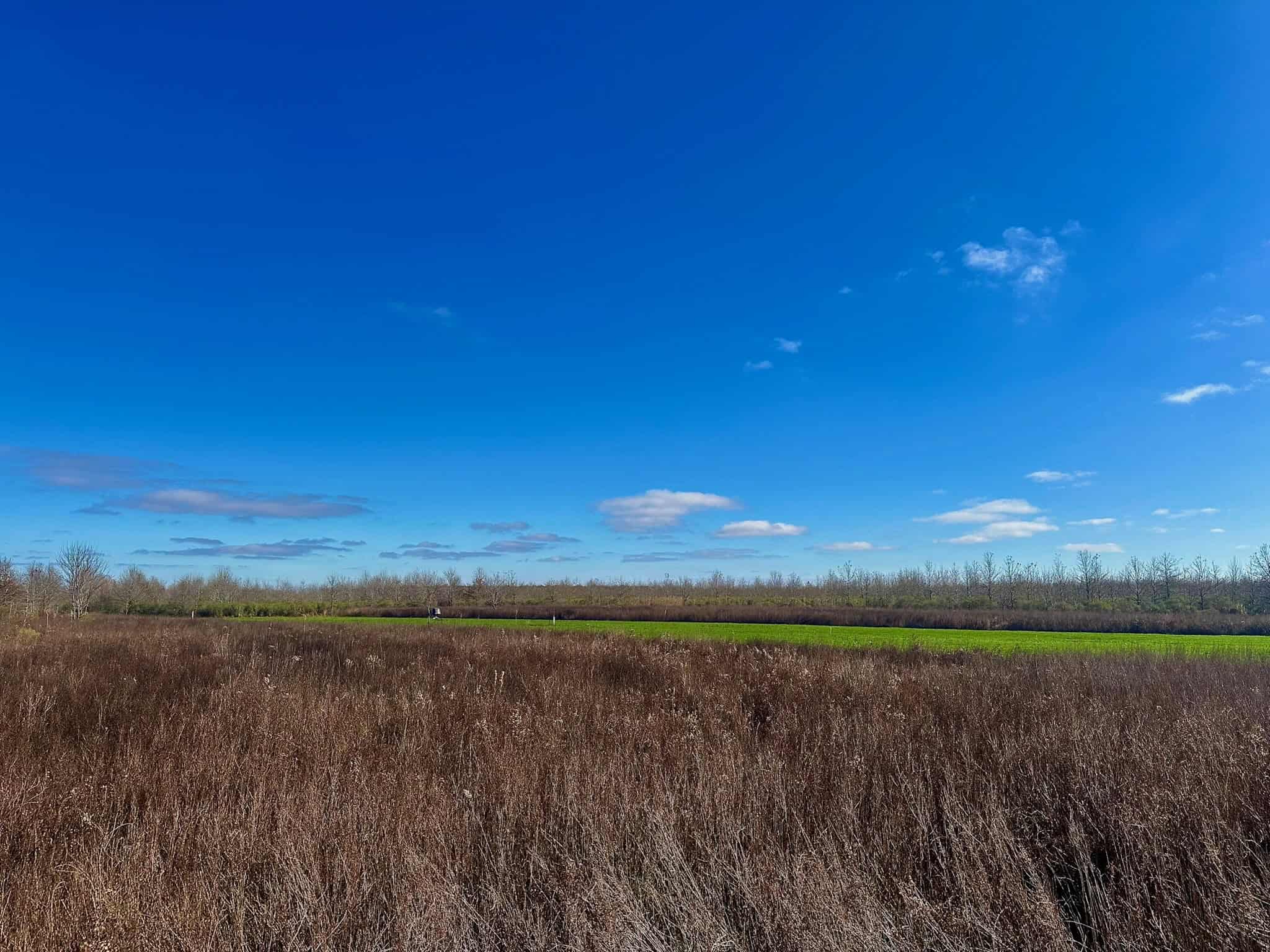 Delta Duck and Deer Hunting Property for Sale