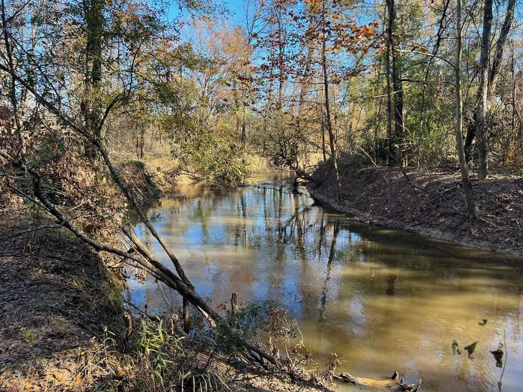 Hunting Land and Camp for Sale on the Pearl River