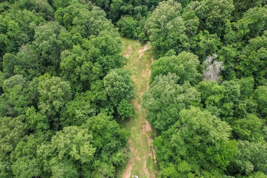 Turn Key Small Hunting Tract in Hinds County