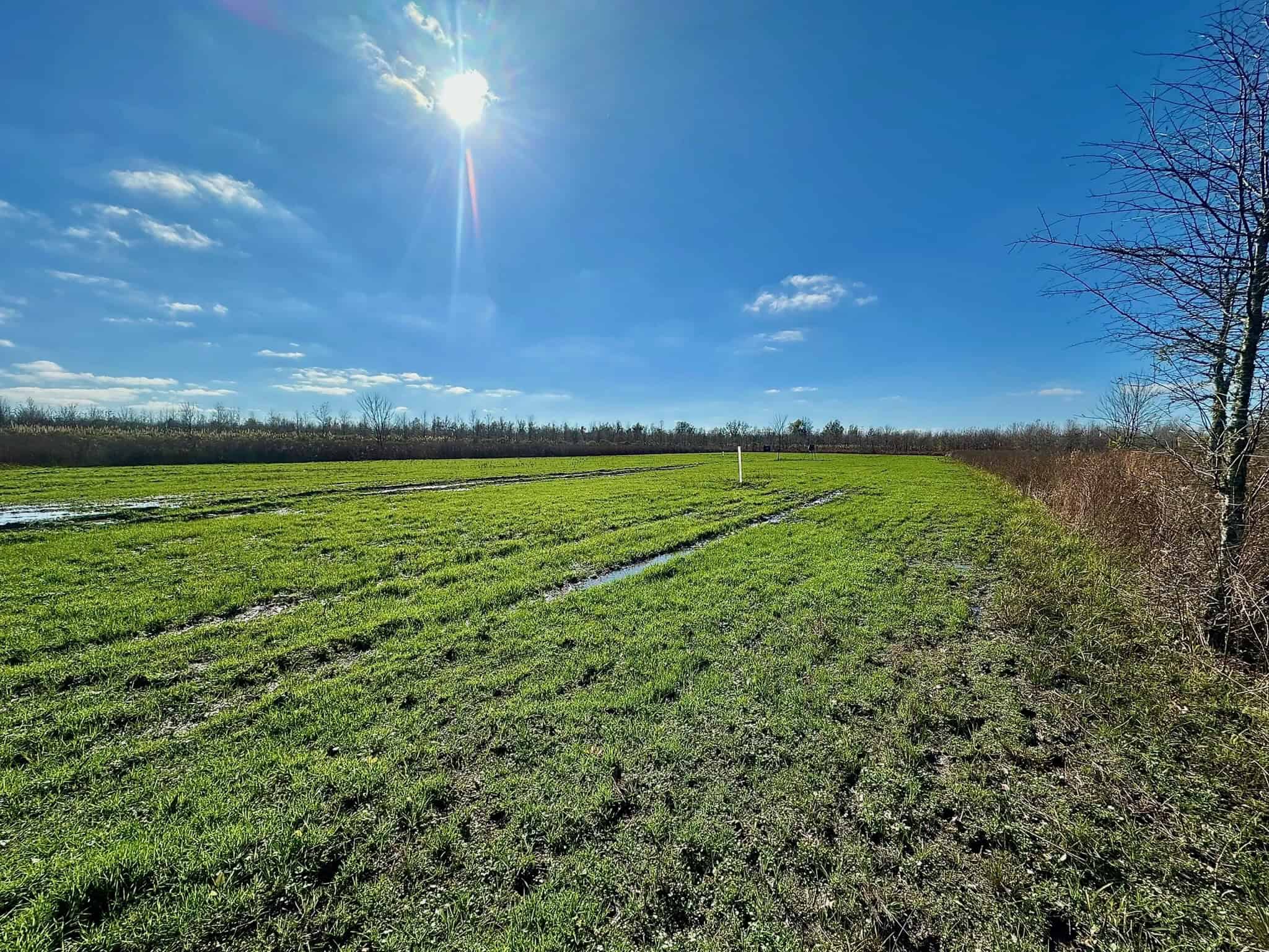Delta Duck and Deer Hunting Property for Sale