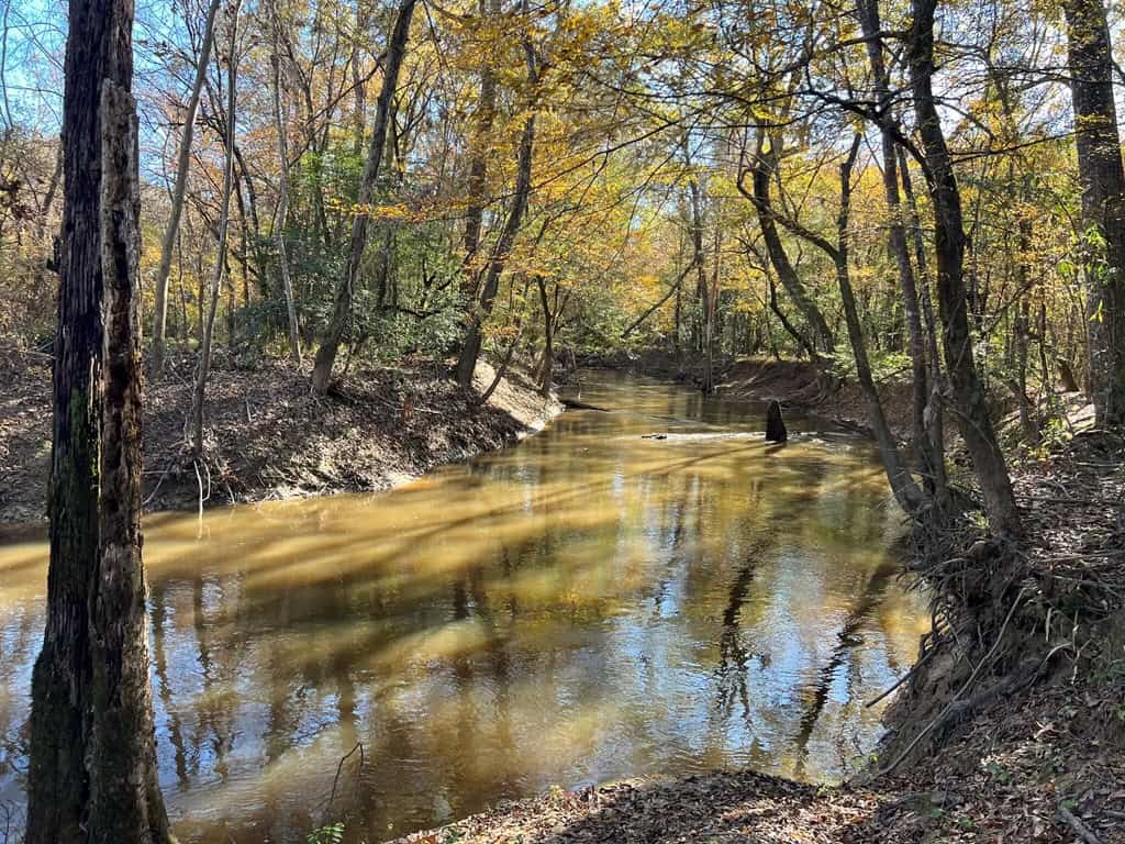 Hunting Land and Camp for Sale on the Pearl River