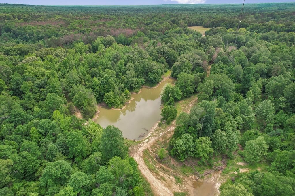 Turn Key Small Hunting Tract in Hinds County