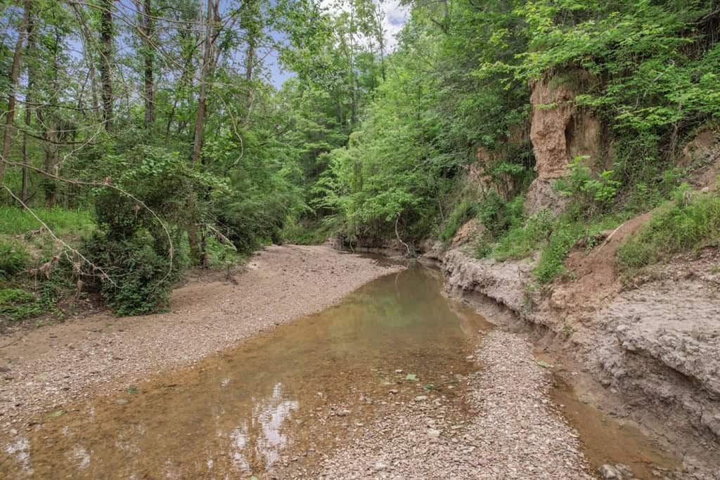 Turn Key Small Hunting Tract in Hinds County