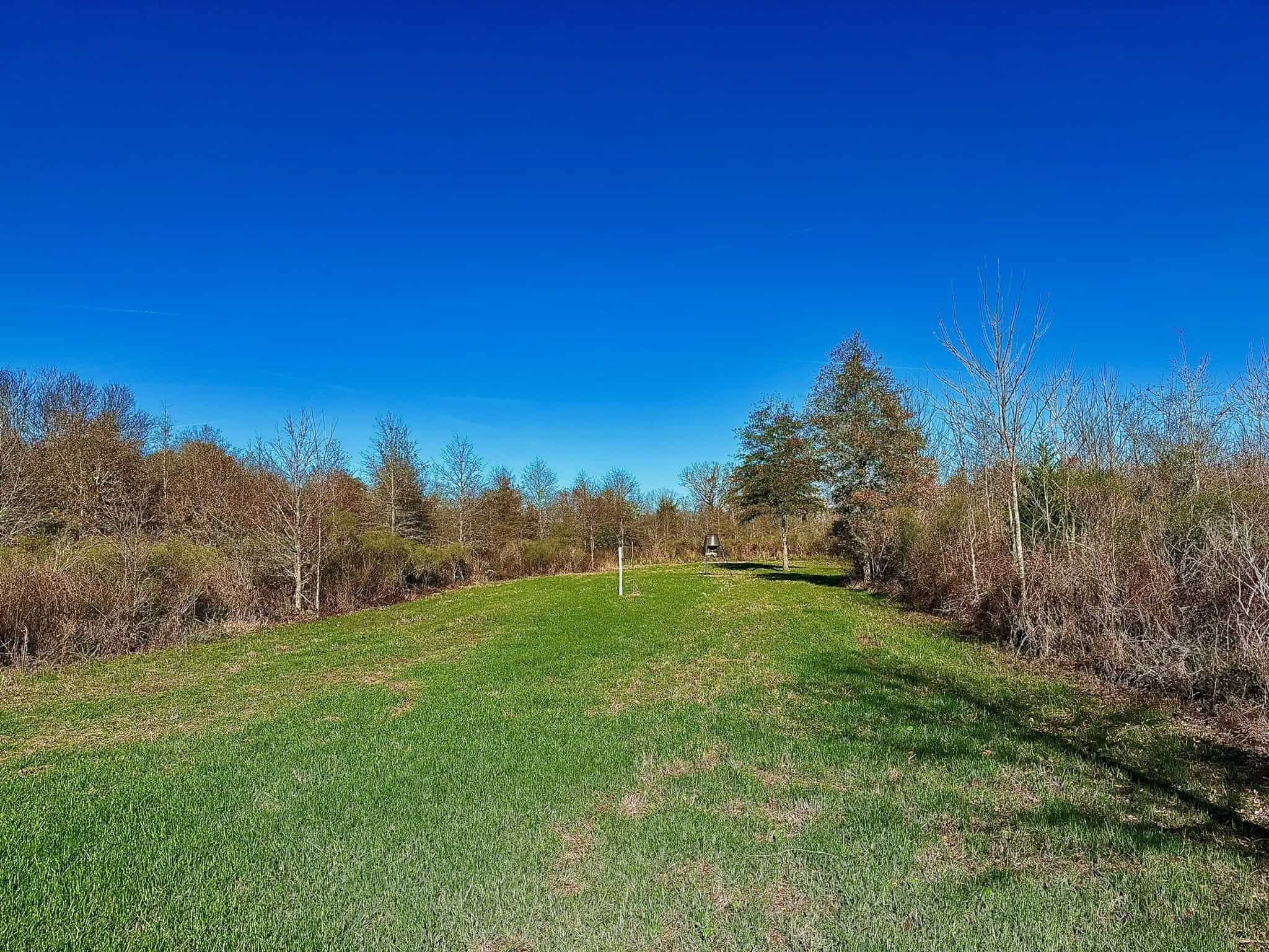 Delta Duck and Deer Hunting Property for Sale
