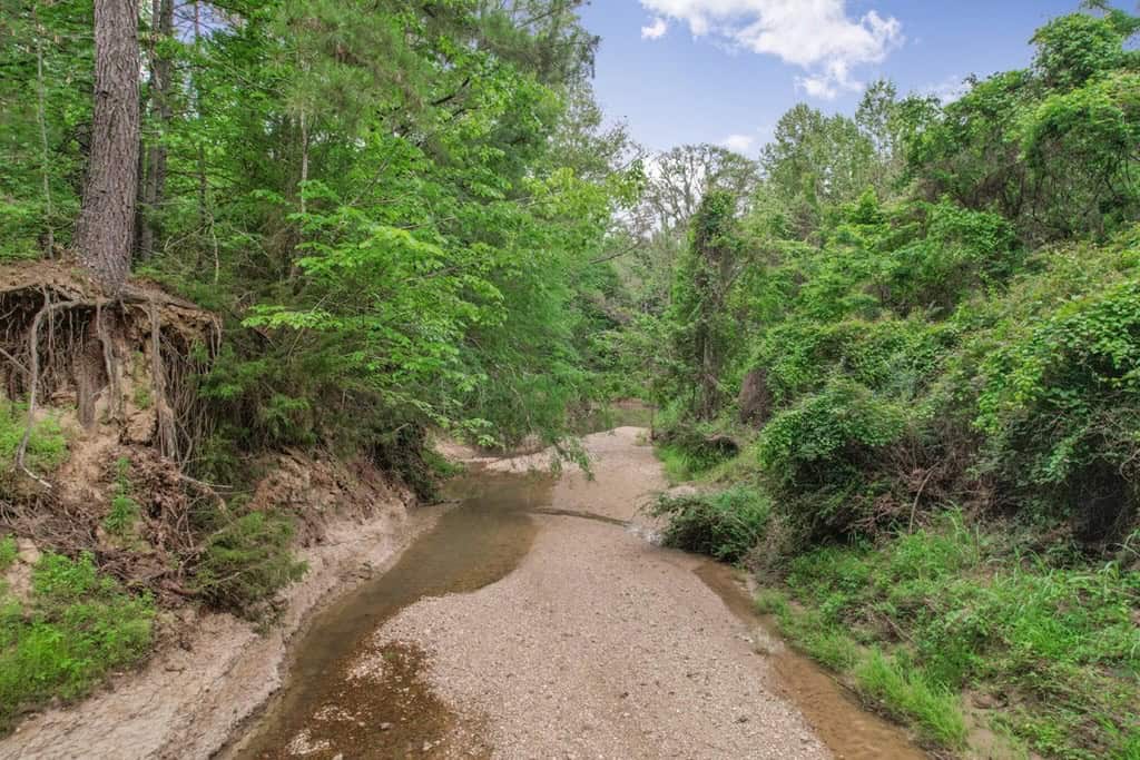 Turn Key Small Hunting Tract in Hinds County