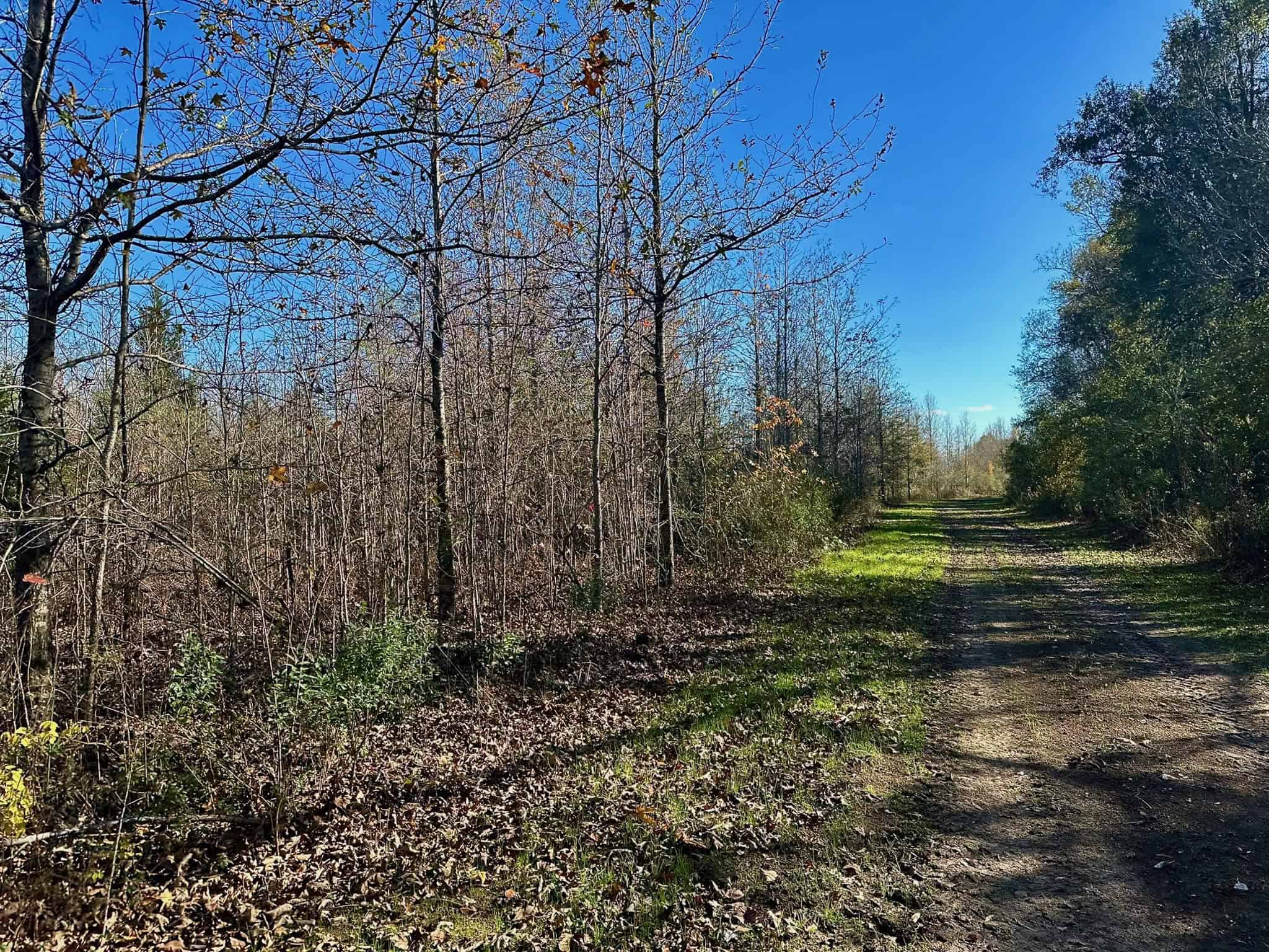 Delta Duck and Deer Hunting Property for Sale