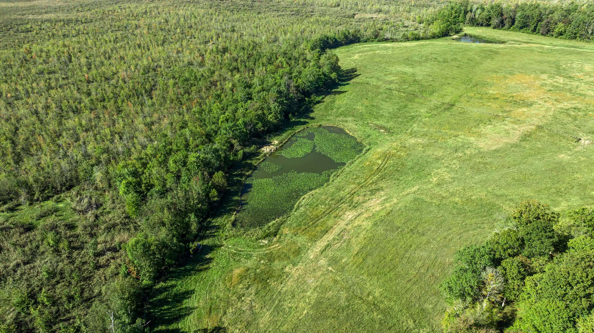 600 Acre Cattle Farm & Hunting Property w/ 3 Custom-Built Residential Homes w/ Basements & Room To Grow, A Turn-Key Opportunity in Nebo, KY 42441