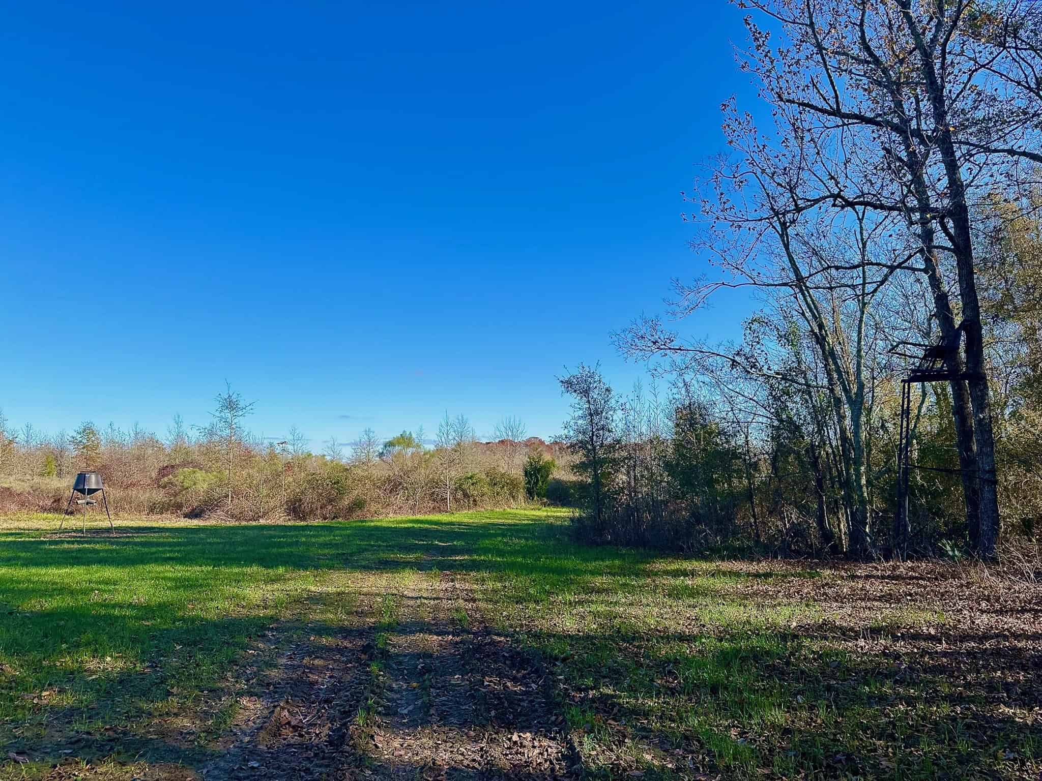 Delta Duck and Deer Hunting Property for Sale