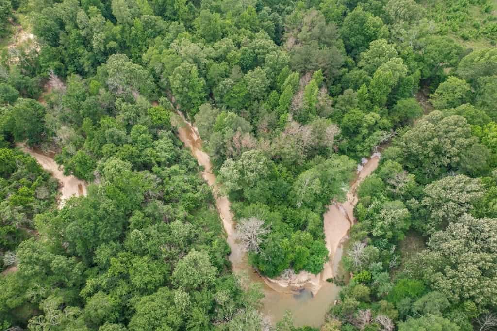 Turn Key Small Hunting Tract in Hinds County