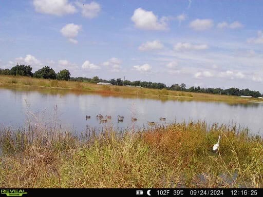 Delta Duck and Deer Hunting Property for Sale