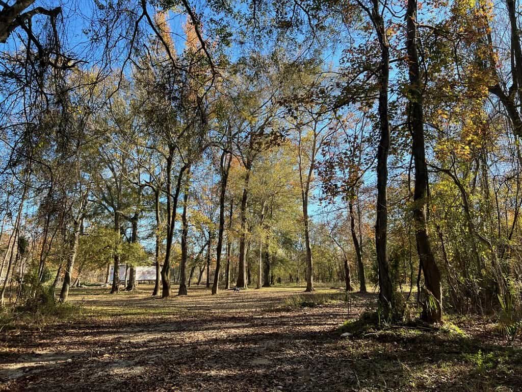 Hunting Land and Camp for Sale on the Pearl River