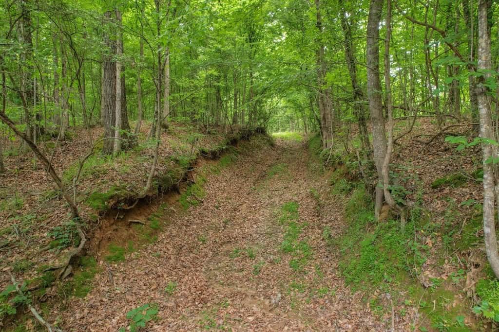 Turn Key Small Hunting Tract in Hinds County