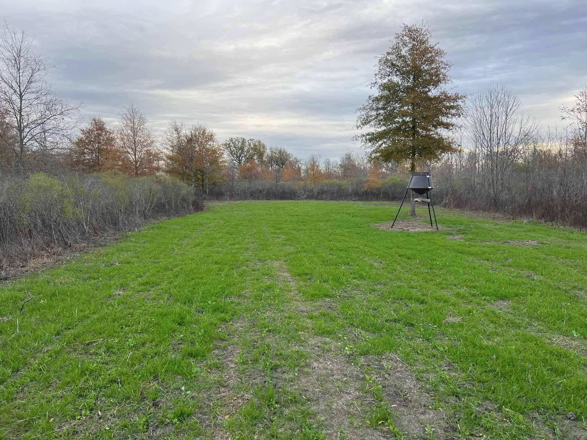 Delta Duck and Deer Hunting Property for Sale