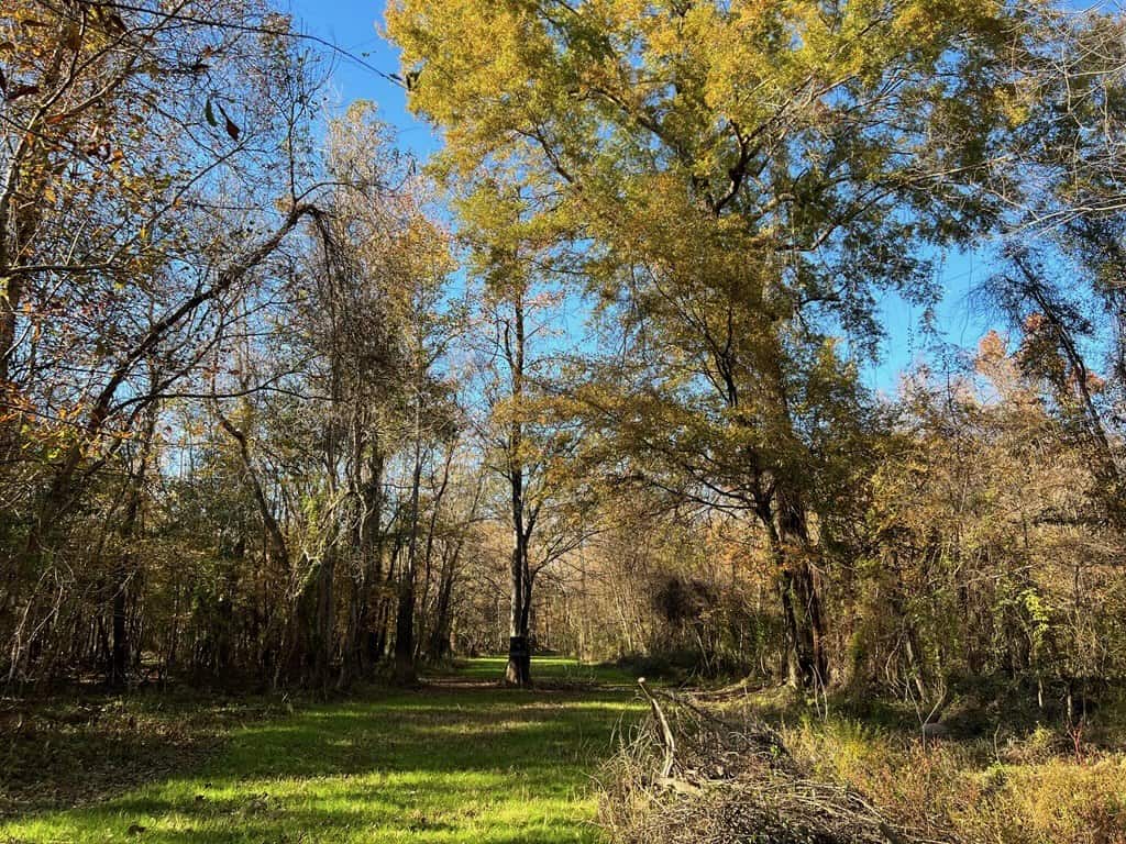 Hunting Land and Camp for Sale on the Pearl River