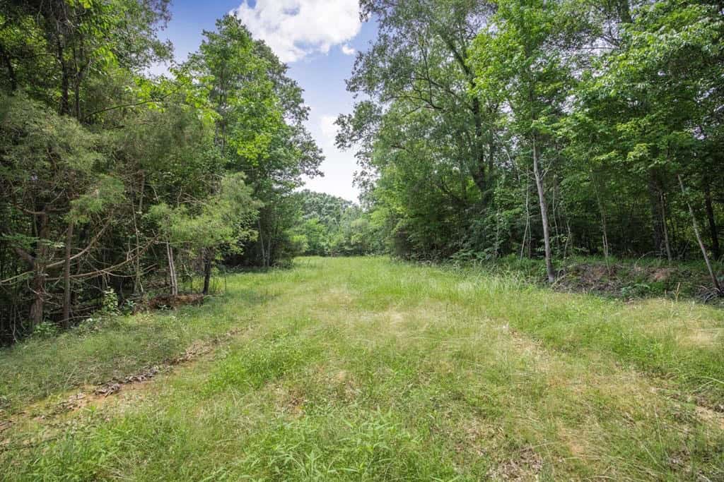Turn Key Small Hunting Tract in Hinds County