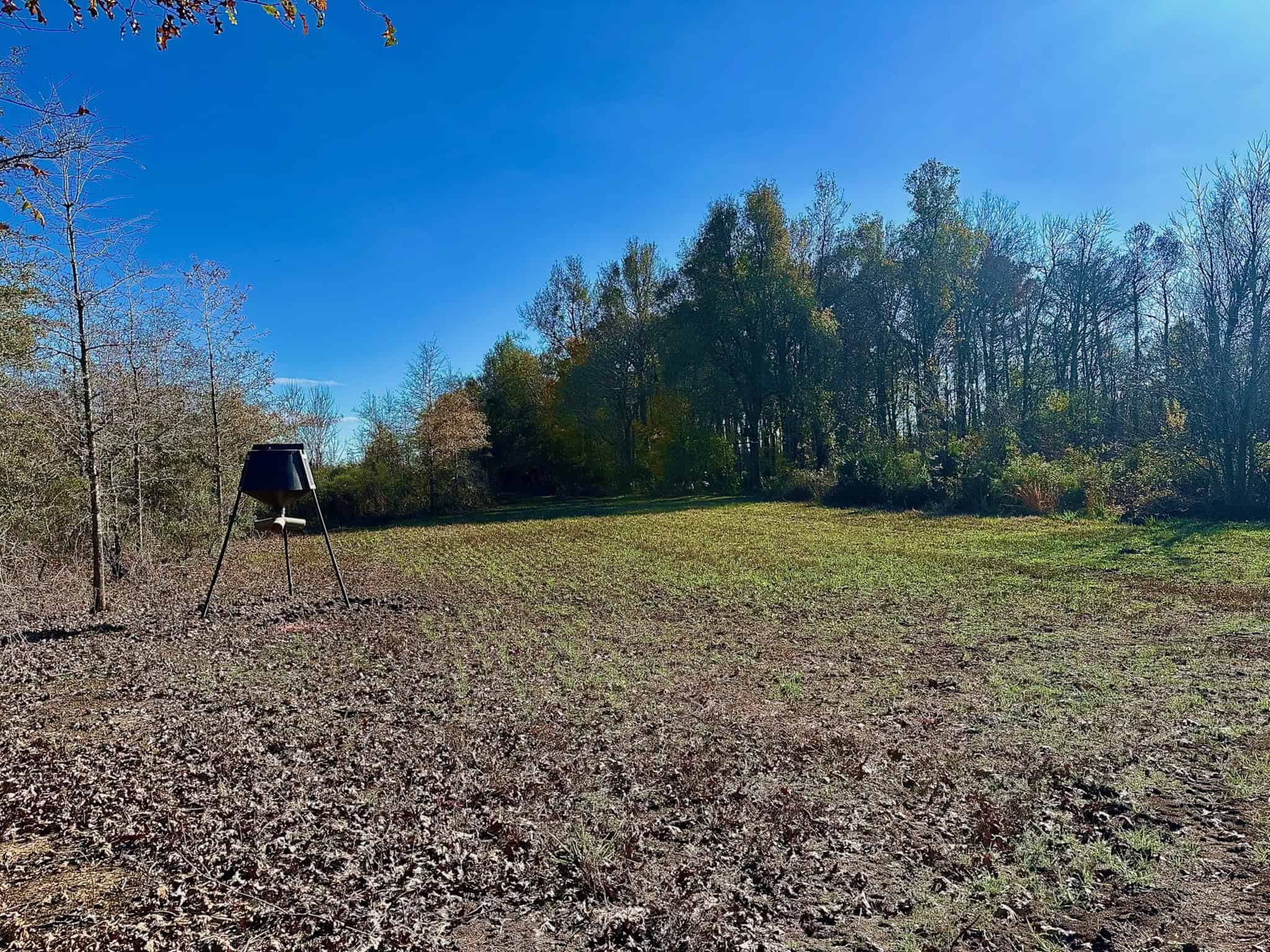 Delta Duck and Deer Hunting Property for Sale