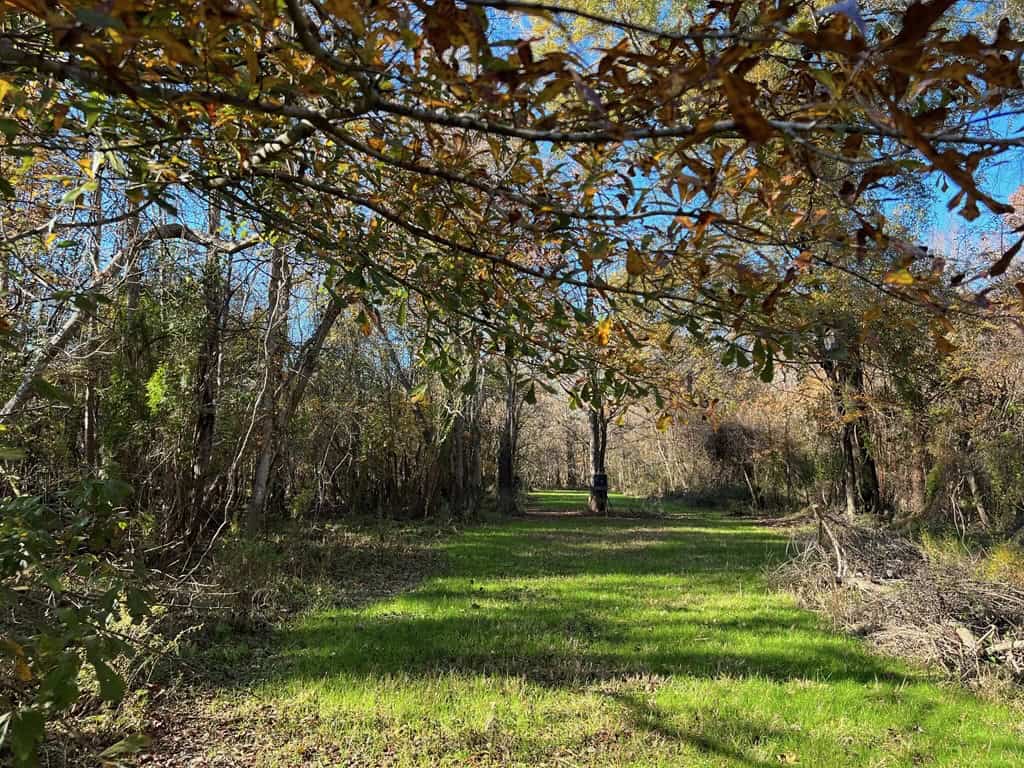 Hunting Land and Camp for Sale on the Pearl River