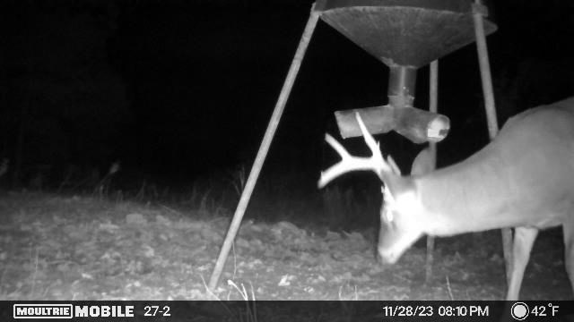 Turn Key Small Hunting Tract in Hinds County