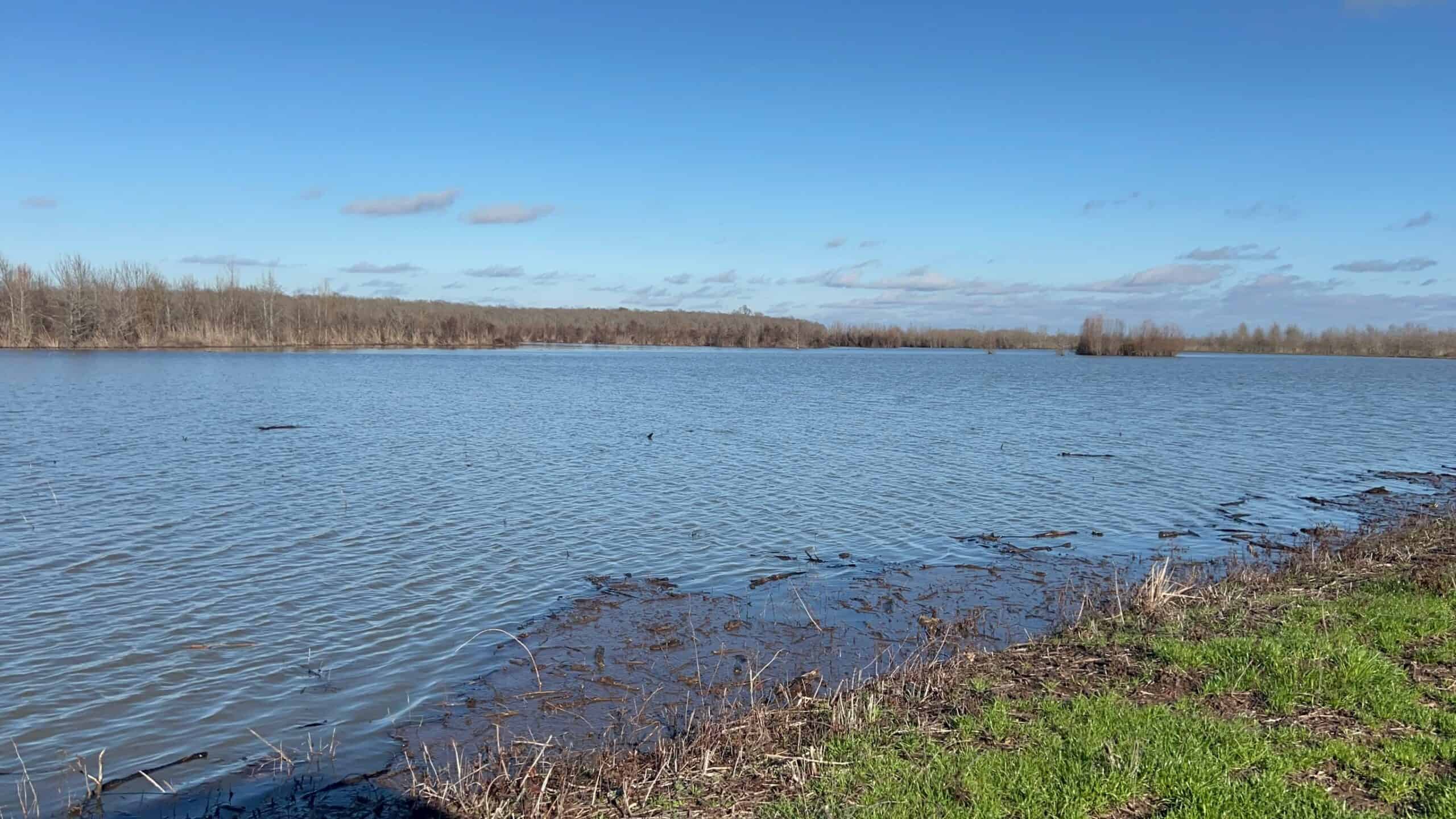 Delta Duck and Deer Hunting Property for Sale