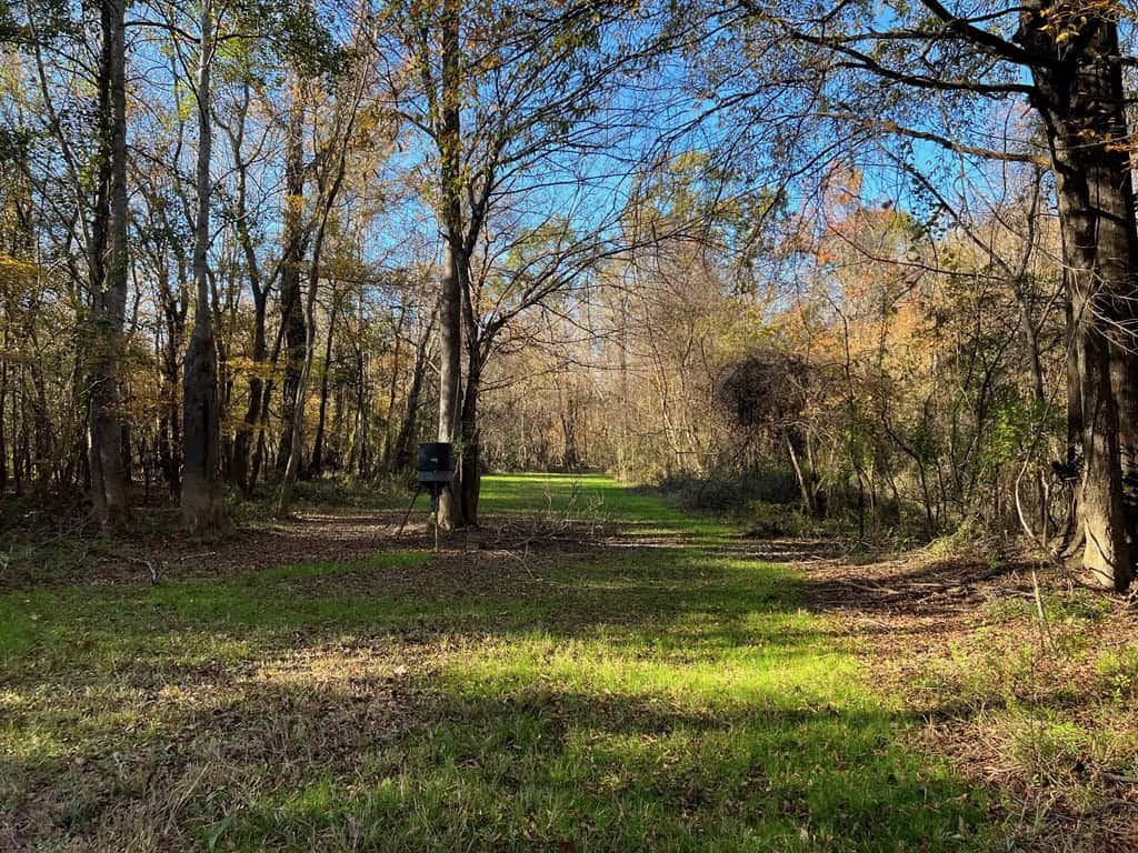 Hunting Land and Camp for Sale on the Pearl River