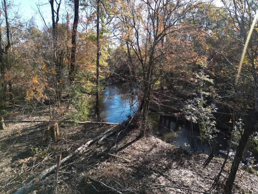 Hunting Land and Camp for Sale on the Pearl River