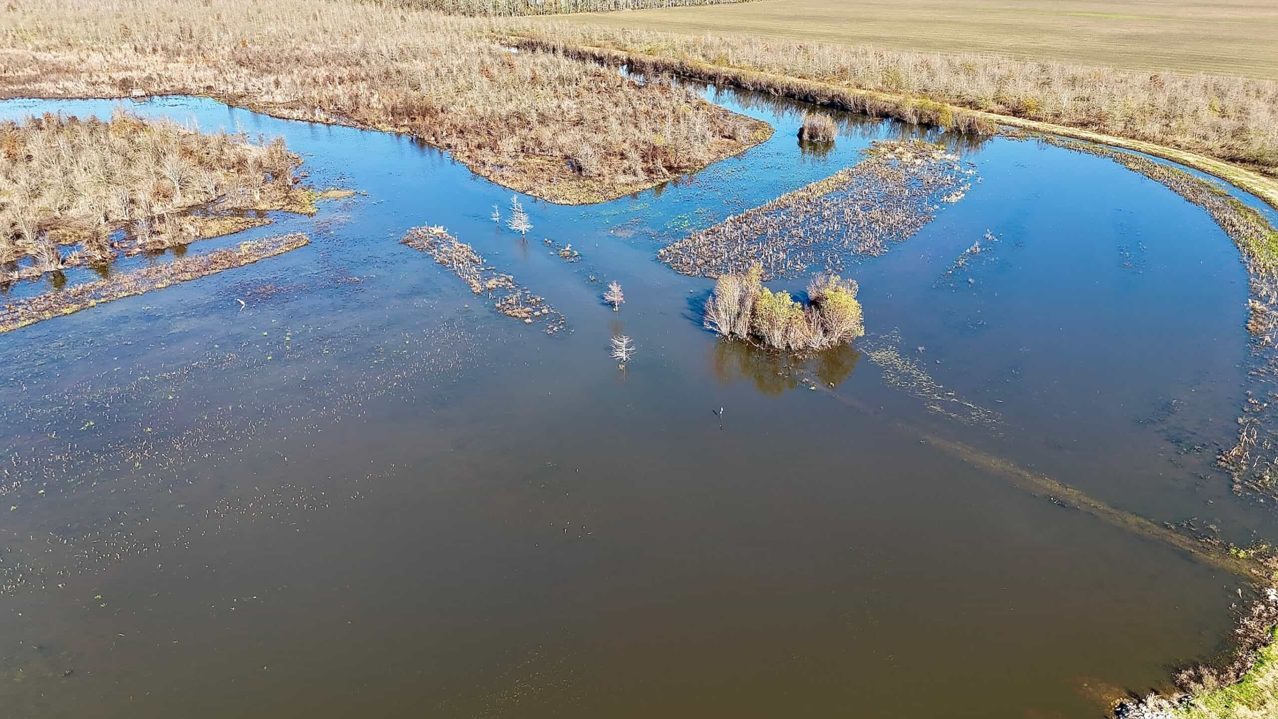 Delta Duck and Deer Hunting Property for Sale