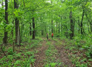 1,004 acres for sale in Casey County Kentucky