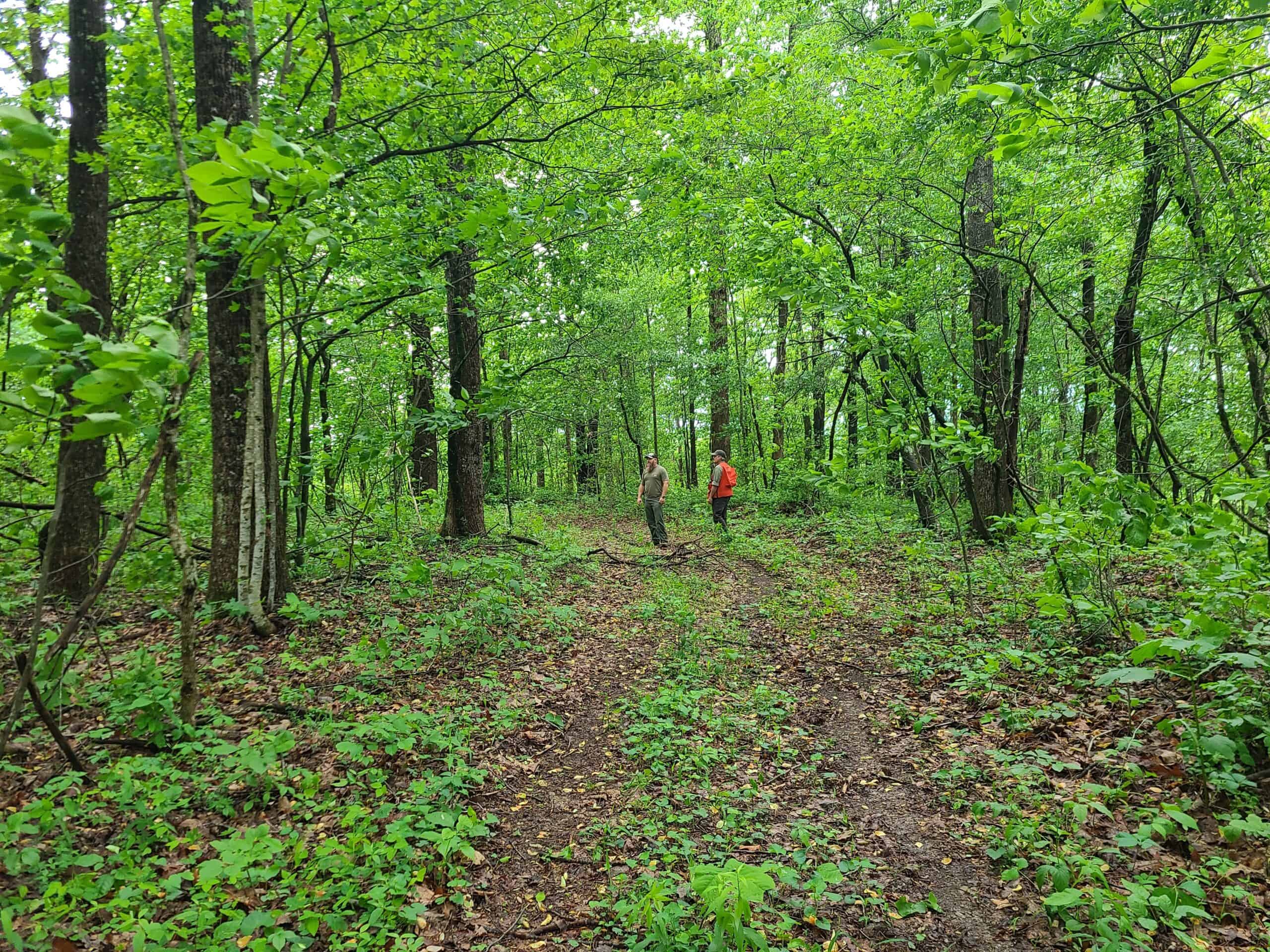 1,004 acres for sale in Casey County Kentucky